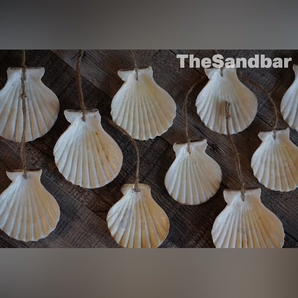 Shell Ornaments Gift Set of 8 Off White Scallop Shells Wedding Favors TheSandbar - Picture 3 of 5